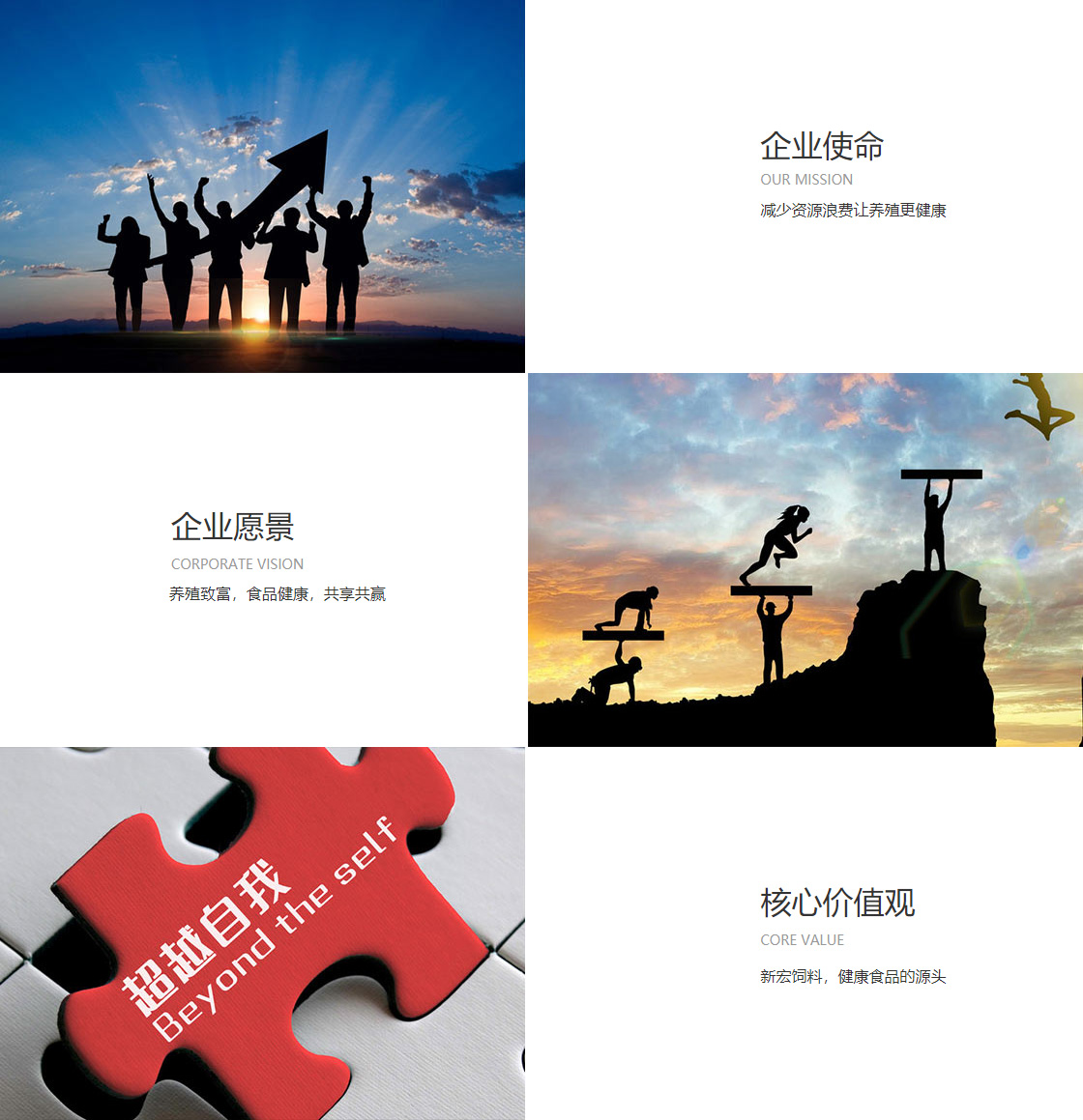 im电竞(图1)